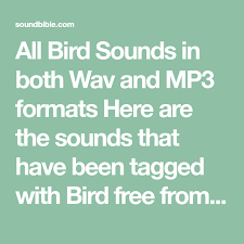 All Bird Sounds In Both Wav And Mp3 Formats Here Are The Sounds That Have Been Tagged With Bird Free From Soundbibl Sound Free Free Sound Effects Horror Sounds