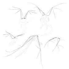 How to draw wings step 1 before you start drawing a wing, it might be useful to know some things about its structure. Sketchbook Original How To Draw Wings Monika Zagrobelna