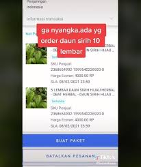 Selamat datang di blog manfaa. Viral Pemuda Jual Daun Sirih Segar Di Olshop Kaget Saat Tahu Ada Yang Beli Suara Surakarta