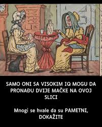 SAMO ONI SA VISOKIM IQ MOGU DA PRONAĐU DVIJE MAČKE NA OVOJ SLICI:: Vidite  li obje (FOTO) LINK U KOMENTARU 👇