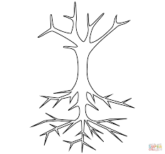 Disegno Di Albero Spoglio Con Radici Da Colorare Disegni Da