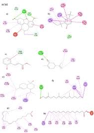 Image result for Fagonia isotricha