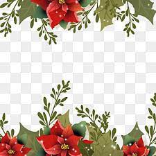 Efeito Realista Natal Poinsetia Flor De Natal Borda Clipart De Fronteira De Flor Real Efeito Imagem Png E Psd Para Download Gratuito Christmas Border Flower Border Christmas Poinsettia