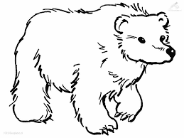 Digital art illustration for children, coloring book, and. The Bear S Secret Stories For Muslim Kids