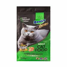 Kedi Mamasi