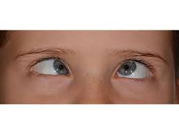 images?q=tbn:ANd9GcRYBbXpGvQTmx_4dmdRRJA