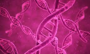 If you have a variant of uncertain significance (vus) result, the test found a mutation in one of the genes associated with hereditary breast and ovarian cancer, but whether that specific mutation causes cancer is unknown. Assessing Breast Cancer Risk Should You Be Tested For The Brca Genes Uab Medicine News Uab Medicine