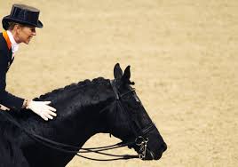 Zij hebben dat gedaan na dreigementen van de koper van een van hun paarden. Fokster Vreest Voor Veulen Na Inseminatie Met Gevaarlijk Gen Foto Ad Nl