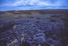 Image result for Little Catnip Spring - Sheldon Refuge Winnemucca NV