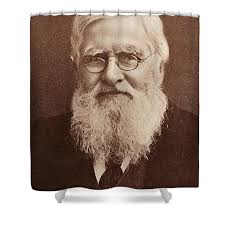 Alfred Russel Wallace, Welsh Naturalist #2 Fleece Blanket by Science Source 