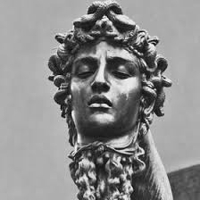 Amanda Maier (amandamaier6)