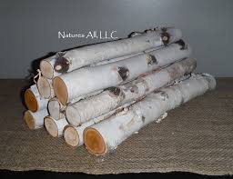 Decorative White Birch Logs For Fireplace Decorative White Birch Fireplace Logs 10 Piece Set 16 Inch Lengths 2 Inch Fireplace Logs Birch Logs Decor