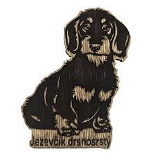 Image result for jezevčík drsnosrstý