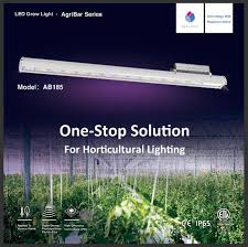 Check spelling or type a new query. Full Spectrum Waterproof Led Grow Light 185w With Medical Seedling Tomato Plant China Led Grow Lights Greenhouse Made In China Com