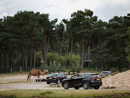 It is a part of the beekse bergen group, also owning safaripark beekse bergen. Safaripark Beekse Bergen Charme Camping Hartje Groen Noord Brabant
