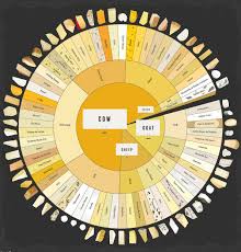 Infographic How To Tell The Difference Between 66 Varieties