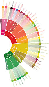 Our roaster hugo attended its 28th edition last month in atlanta, where one of the highlights was the launch of the new scaa coffee flavour wheel. Coffee Sensory Workshop
