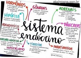 Mapa Mental Sobre Sistema Endocrino Sistema Endocrino Aulas De Biologia Endocrino