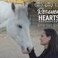 Rescued Hearts Screening + Filmmakers in O‘ahu event image