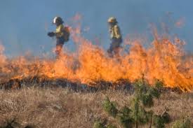 San Antonio and Bexar County face wildfire risks again | TPR