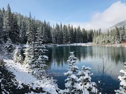 Ver más ideas sobre canada paisajes, paisajes, canadá. Paisaje De Alberta En Canada Por Alberta Tours Fotografia Turismo De Observacion
