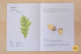 Zu den bastelvorlagen / schablonen gibt es auch praktische bastelanleitungen dazu. Herbarium Vorlage Wallpaper Page Of 1 Images Free Download Herbarium Vorlage Pdf
