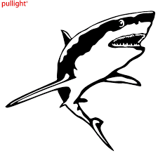 Hiu putih atau great white shark dipercaya sebagai ikan pemangsa terbesar yang paling ditakuti di lautan. 15 2 14 2cm Stiker Vinil Hiu Putih Besar Dekorasi Jendela Ikan Hewan Lucu Stiker Mobil Car Sticker Shark Vinyl Decalwhite Shark Aliexpress