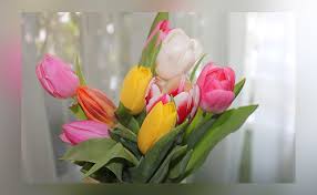 To ask forgiveness of someone you need to spend some time thinking. Types Of Apology Flowers