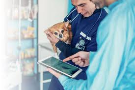 Maybe you would like to learn more about one of these? Paramus Outpatient Center Location Animalscan
