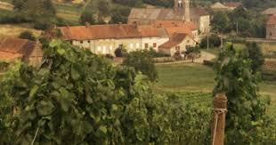 Maconnais Vineyards Poilly Fuisse Ozenay Near Macon Saone Et Loire Burgundy France Photographic Print David Hughes Art Com Vineyard Macon Beach Landscape