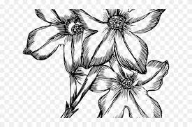 We did not find results for: Drawn Bouquet Flower Buke Hand Drawn Flowers Png Transparent Png 640x480 5648360 Pinpng