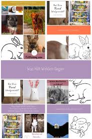 was hilft wirklich gegen wurmer bei hunden und katzen spulwurmer bandwurmer kaninchen alter kaninchen alter womens hairstyles better trends amazing women