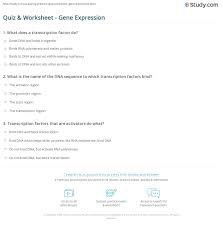 Transcription and worksheets learny kids. Quiz Worksheet Gene Expression Study Com