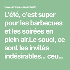 Enfin Un Repulsif 100 Naturel Que Tous Les Moustiques Detestent Moustique Repulsif Je Te Deteste