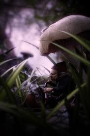 Fantasy Art Fantasy Art Quiet Under The Mushroom 3d Concept Art Digital Fantasy Art Fantasy Faeries