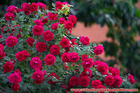 Download valentine flowers images and photos. Valentines Flowers Ideas Valentines Ideas Flowers Diy Valentines Flowers Flow Printable Valentines Coloring Pages Free Valentine Clip Art Valentines Flowers