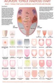 Ayurvedic Tongue Chart