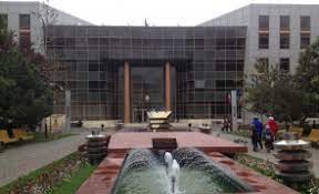 Contact directii si servicii > formulare > 372.058 locuitori. Localelections2020 Sixteen Seeking Office As Bucharest Sector 2 Mayor