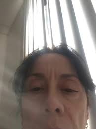 Petition · Protect Florida Black Bears!