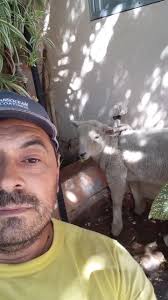 Miguel Ignacio Quiroga (@miguel.nauta73)'s videos with sonido original