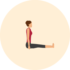 Dandasana Staff Pose Yoga Alignment Guide