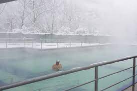 Piscine apa incalzita dulce si sarata, exterioare si interioare, jacuzzi apa sarata, spa, sauna, masaj, plaja, loc. Piscine Calimanesti Caciulata