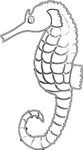 Sea Horse Coloring Page Horse Coloring Horse Coloring Pages Coloring Pages