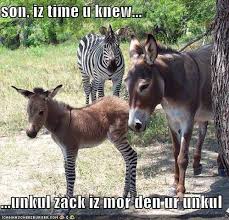 A fork in the road. Donkeys Saying Funny Quotes Quotesgram