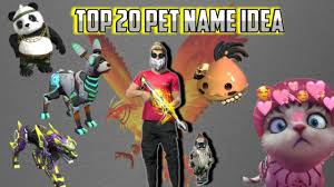 How to change the name of pets in free fire: How To Get Stylish Free Fire Pet Name Pointofgamer