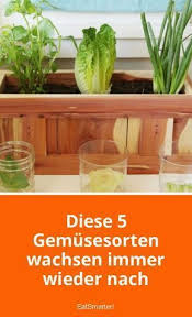 Diese 5 Gemusesorten Wachsen Immer Wieder Nach Gemuse Anpflanzen Garten Pflanzen Pflanzen