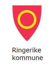 Ringerike kommune | 913 followers on linkedin. Ringerike Kommune Innforer Seriositetskrav