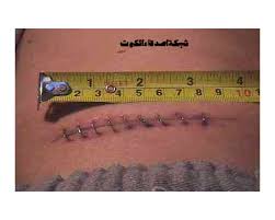 We did not find results for: Ø§Ù„Ø²Ø§Ø¦Ø¯Ø© Ø§Ù„Ø¯ÙˆØ¯ÙŠØ© Ø§Ù„Ù…ØµØ±Ø§Ù† Ø§Ù„Ø§Ø¹ÙˆØ± Ù…Ù†ØªØ¯ÙŠØ§Øª Ø¯Ø±Ø± Ø§Ù„Ø¹Ø±Ø§Ù‚