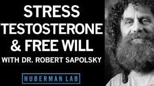 Robert Kohnen///-哔哩哔哩_Bilibili