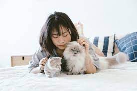 Well, it may not sound like it. 9 Low Maintenance Pets That Like To Cuddle Middle Class Dad